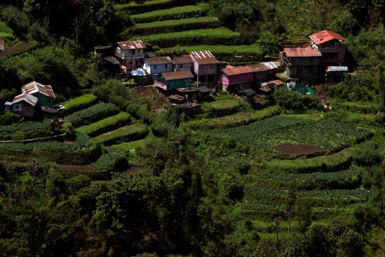 Yashita Homestay Darjeeling  Exterior foto